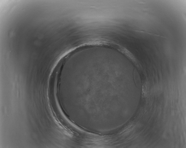 X0000062630724200512231013