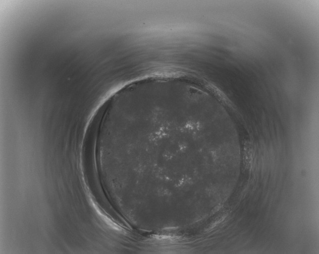 X0000062630726200512231013