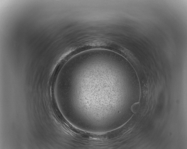 X0000062630727200512231013