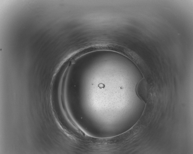 X0000062630728200512231013