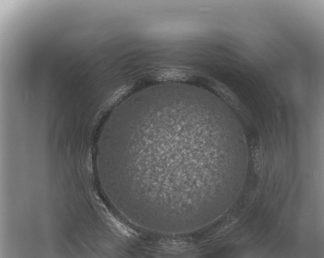 X0000062630729200512231013