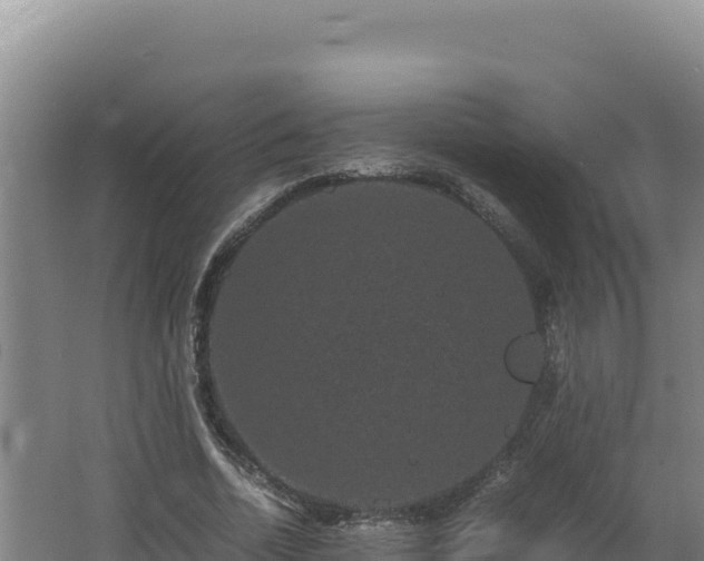 X0000062630730200512231013