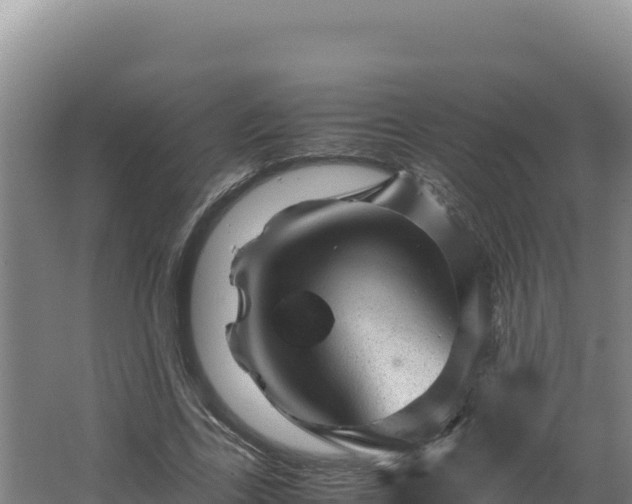 X0000062630731200512231013