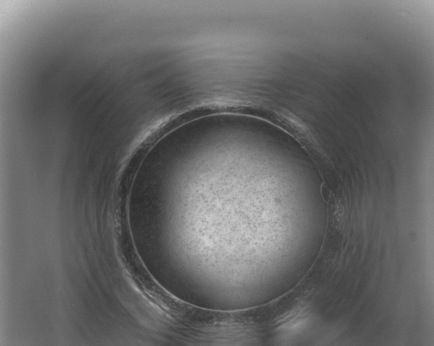 X0000062630732200512231013