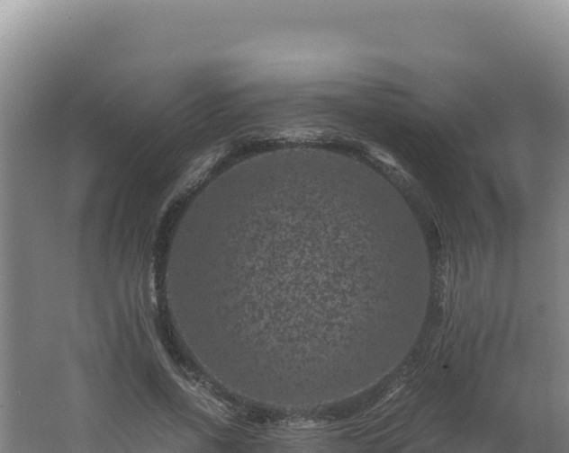 X0000062630734200512231013