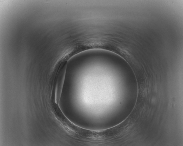 X0000062630735200512231013