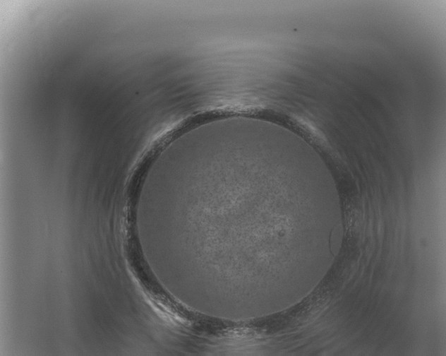 X0000062630736200512231013