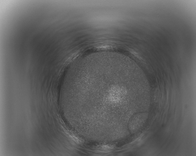 X0000062630737200512231013