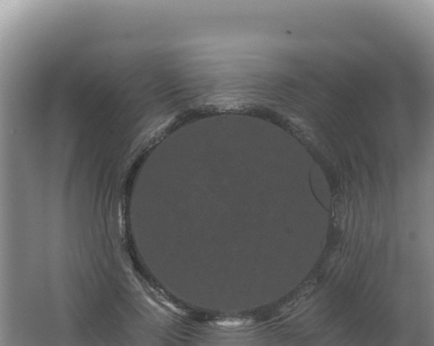 X0000062630740200512231013