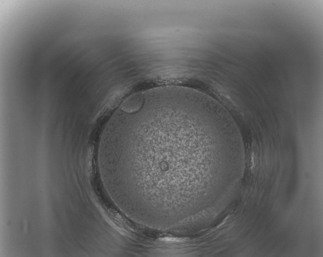 X0000062630742200512231013