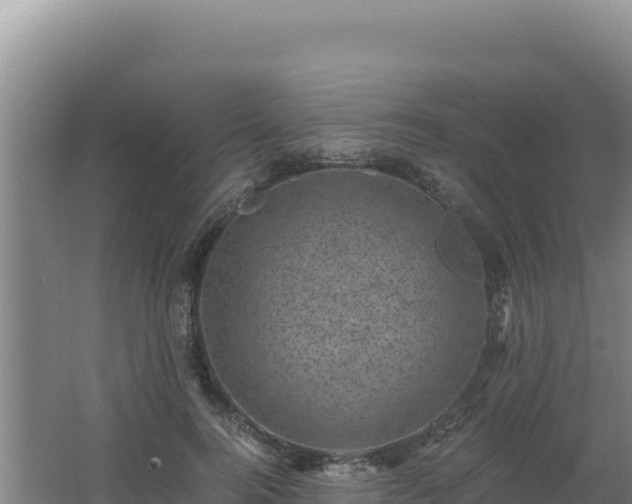 X0000062630744200512231013