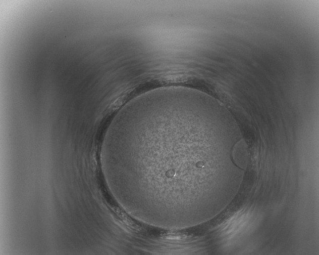 X0000062630746200512231013