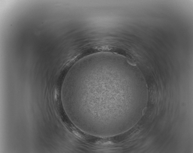 X0000062630747200512231013