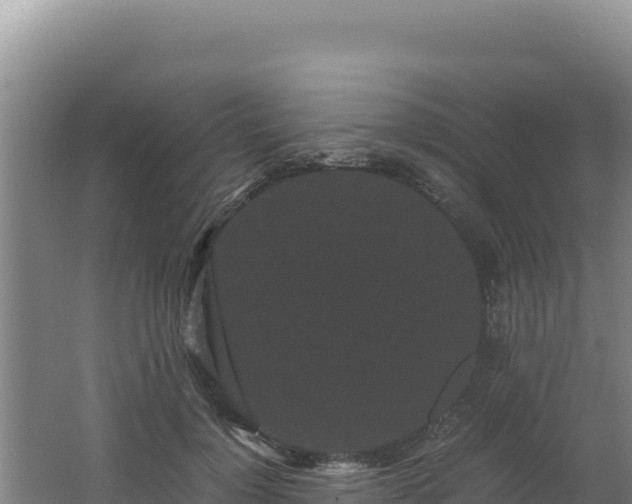 X0000062630748200512231013