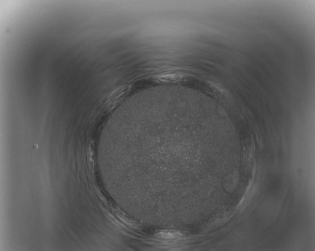 X0000062630749200512231013