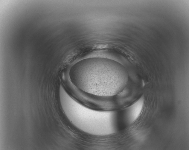 X0000062630750200512231013