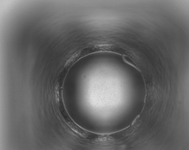 X0000062630752200512231013