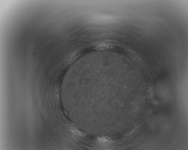 X0000062630753200512231013