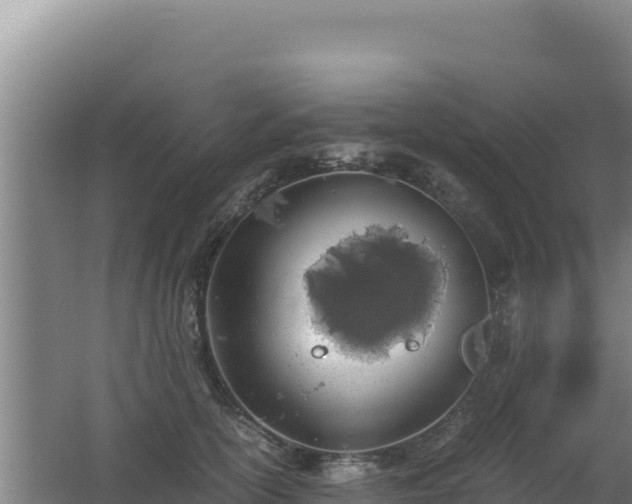 X0000062630754200512231013