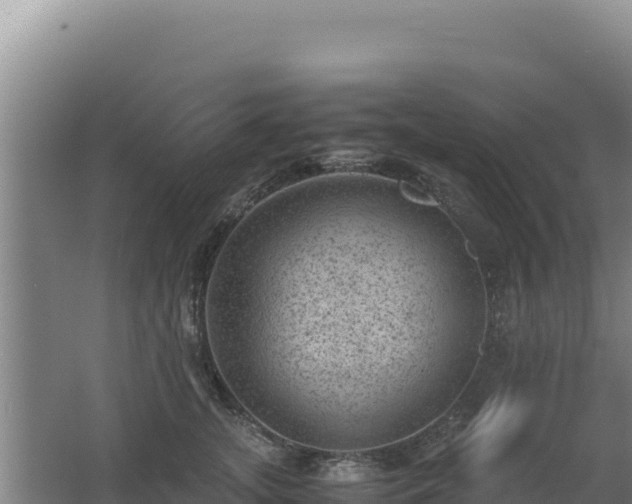 X0000062630755200512231013