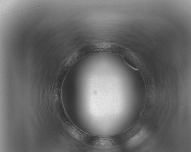 X0000062630758200512231013