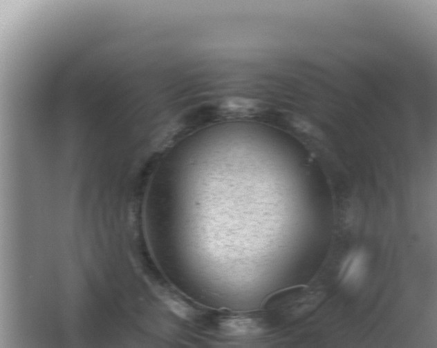 X0000062630759200512231013