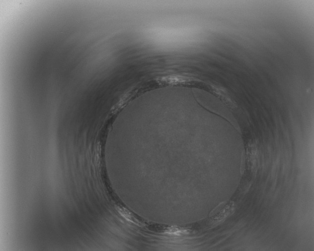 X0000062630760200512231013