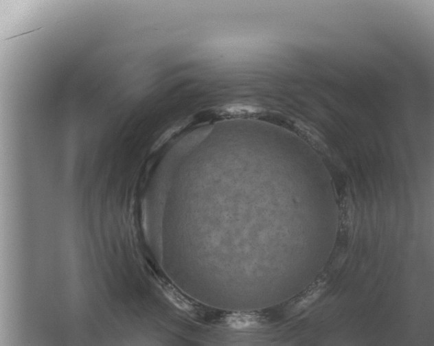 X0000062630762200512231013