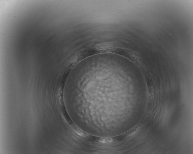 X0000062630767200512231013