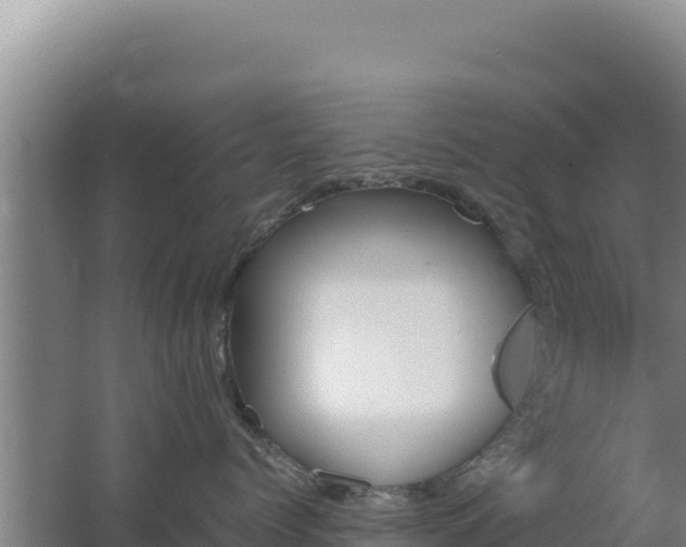 X0000062630768200512231013