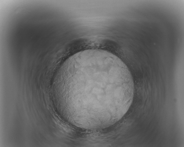 X0000062630769200512231012