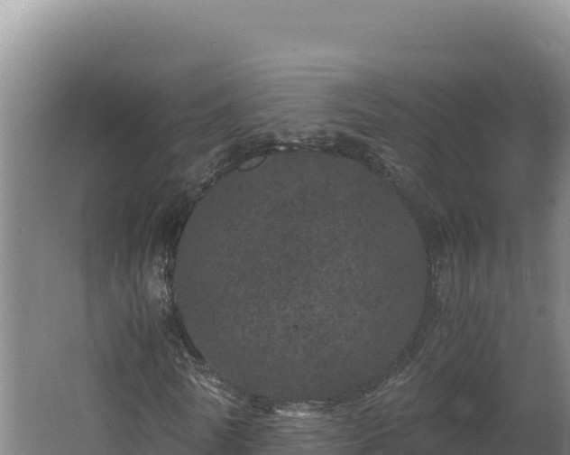 X0000062630770200512231012