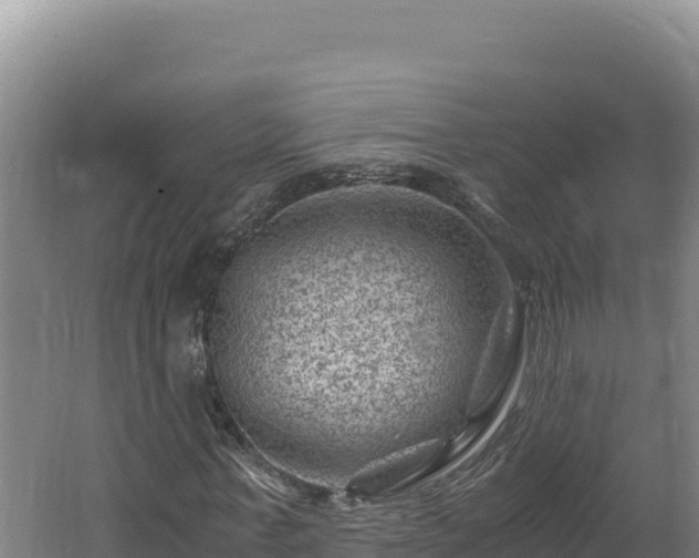 X0000062630771200512231012