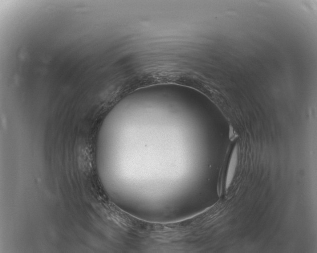 X0000062630772200512231012