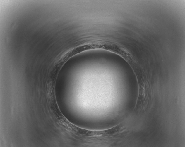 X0000062630773200512231012