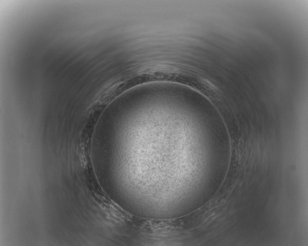 X0000062630774200512231012