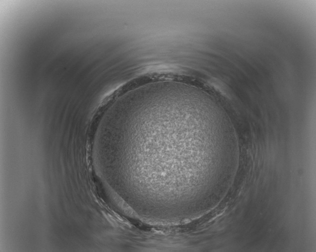 X0000062630775200512231012