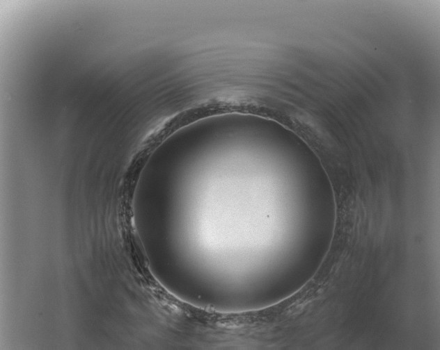 X0000062630776200512231012