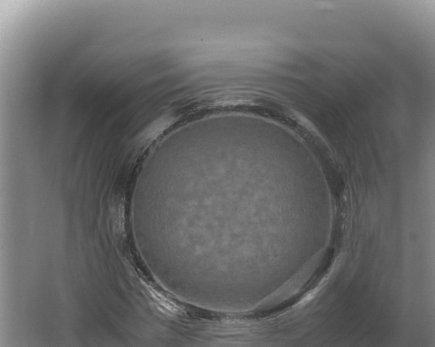 X0000062630777200512231012