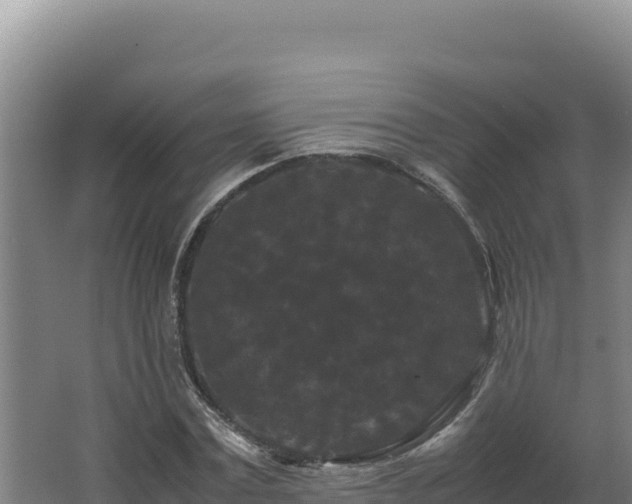 X0000062630779200512231012