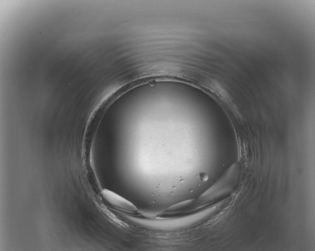 X0000062630780200512231012