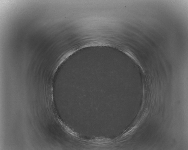 X0000062630781200512231012