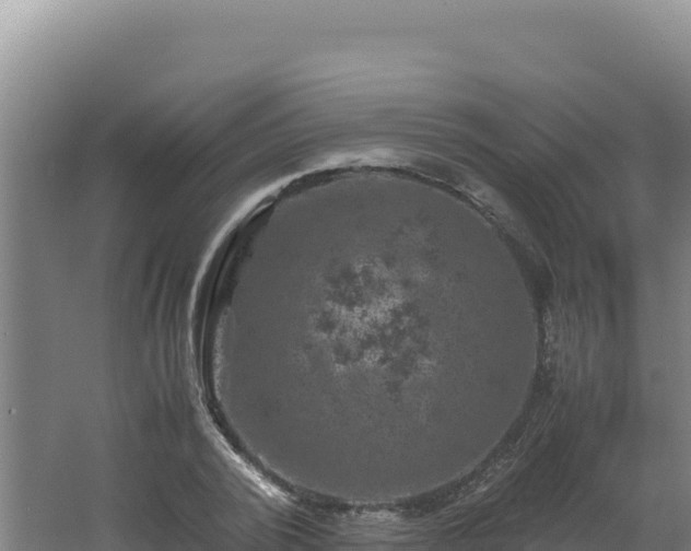 X0000062630784200512231012