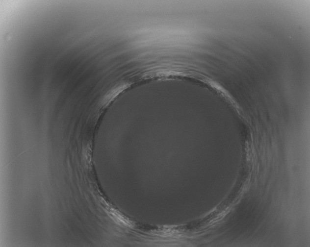 X0000062630785200512231012