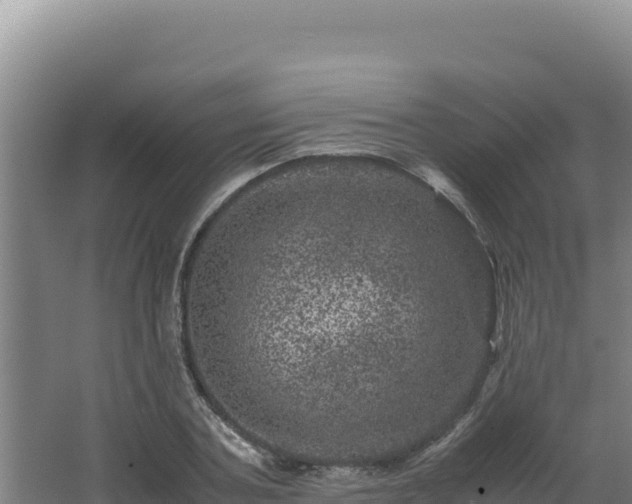 X0000062630787200512231012