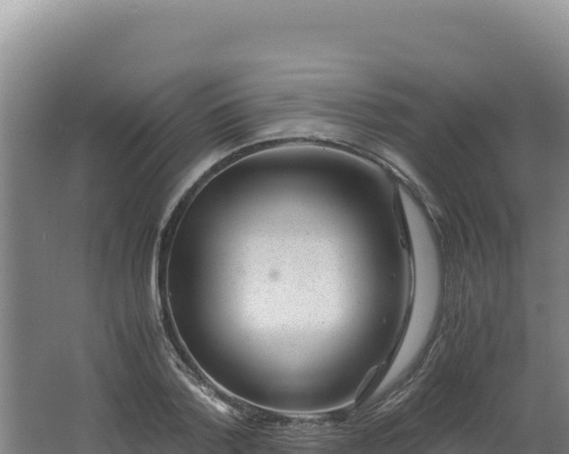 X0000062630788200512231012