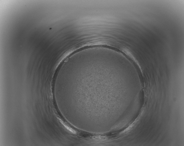 X0000062630789200512231012