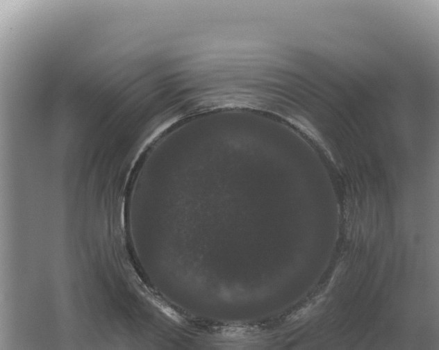 X0000062630790200512231012