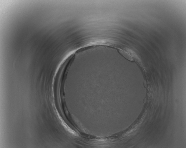 X0000062630792200512231012