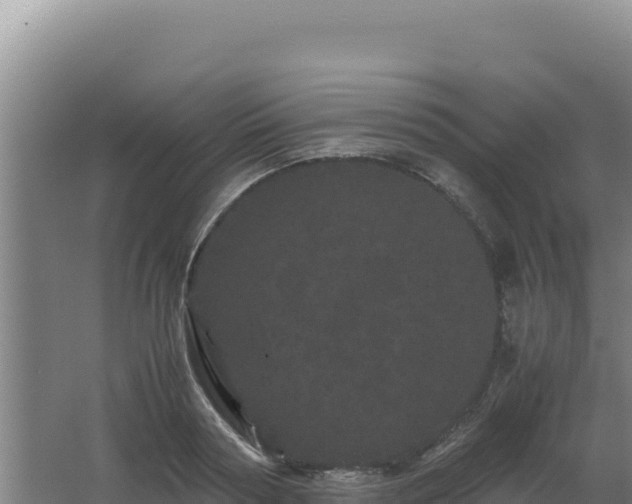 X0000062630794200512231012